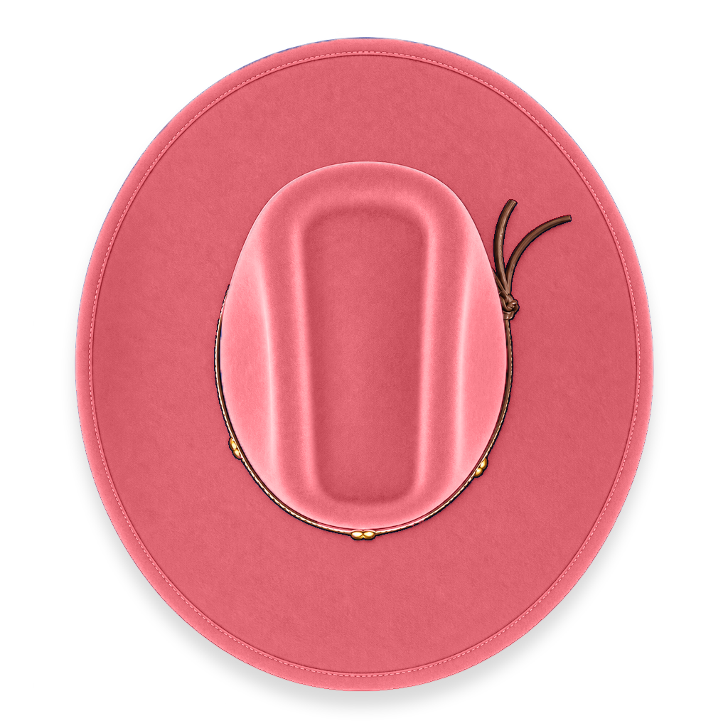 Salmón