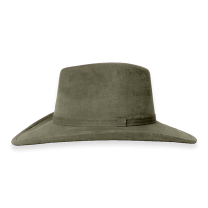 Pistache
