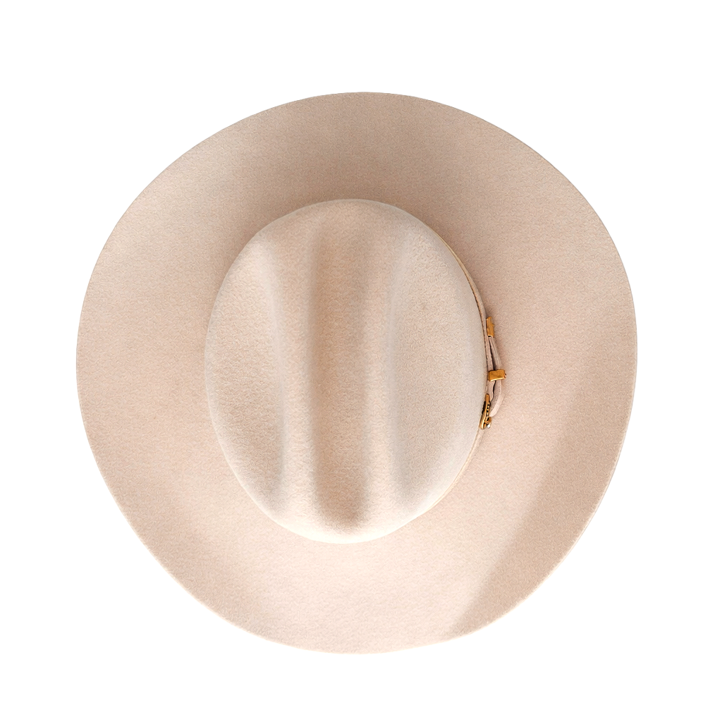 Corteza de pino
