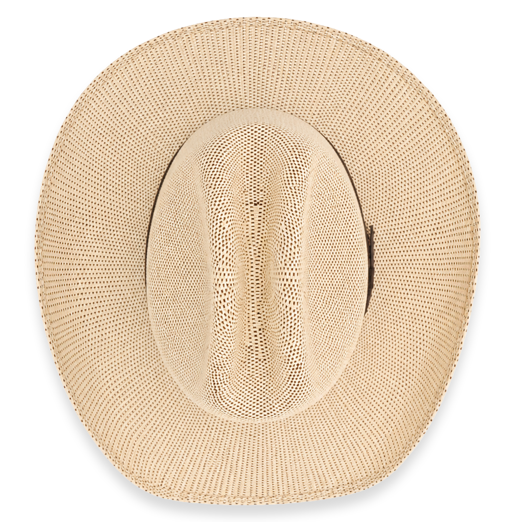 Camel ivory